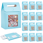 Paper Gift Storage Boxes with Visible Window, Packaging Carton Boxes, Deep Sky Blue, 13.5x7.9x19.5cm(CON-WH0110-003B-01)