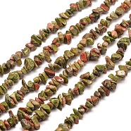 Natural Unakite Chip Bead Strands, 5~8x5~8mm, Hole: 1mm, about 31.5 inch(G-M205-52)