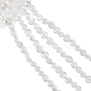2 Strands Natural Quartz Crystal Beads Strands, Rock Crystal Beads, Oval, 9~12x8~10x5~6mm, Hole: 1mm, about 43pcs/strand, 15.70''(39.88cm)(G-NB0004-28)