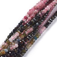 Natural Tourmaline Beads Strands, Flat Round, Faceted, 3x2mm, Hole: 0.6mm, about 184pcs/strand, 15.55''(39.5cm)(G-A026-C08)