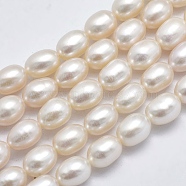Natural Cultured Freshwater Pearl Beads Strands, Oval, Beige, 8x6~7mm, Hole: 0.8mm, about 48pcs/strand, 15 inch(38cm)(PEAR-F007-73)