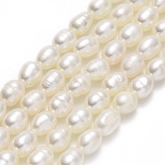 Natural Cultured Freshwater Pearl Beads Strands, Rice, Linen, 4.5~6x4~4.5mm, Hole: 0.6mm, about 62pcs/strand, 14.37''(36.5cm)(PEAR-J006-14C-01)