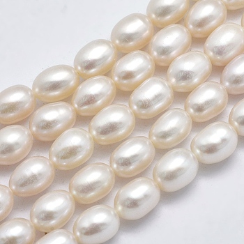 Natural Cultured Freshwater Pearl Beads Strands, Oval, Beige, 8x6~7mm, Hole: 0.8mm, about 48pcs/strand, 15 inch(38cm)