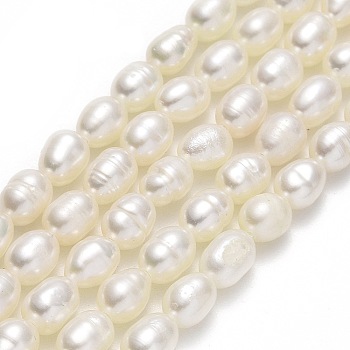 Natural Cultured Freshwater Pearl Beads Strands, Rice, Linen, 4.5~6x4~4.5mm, Hole: 0.6mm, about 62pcs/strand, 14.37''(36.5cm)