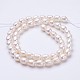 Natural Cultured Freshwater Pearl Beads Strands(PEAR-P002-24)-2