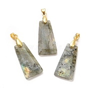 Natural Labradorite Pendants, Faceted Trapezoid Charms, with Rack Plating Golden Tone Brass Findings, Cadmium Free & Lead Free, 25~26x12.5~13x3.5~4mm, Hole: 5x4mm(G-C045-01F-G)