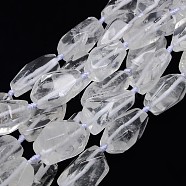 Natural Gemstone Quartz Crystal Beads Strands, Rock Crystal Beads, Nuggets, 20~45x10~25mm, Hole: 2mm, about 10~12pcs/strand, 15.74 inch(X-G-L159-09)