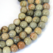 Natural Silver Leaf Jasper Round Bead Strands, 6~6.5mm, Hole: 1mm, about 63pcs/strand, 15.5 inch(X-G-E334-6mm-04)