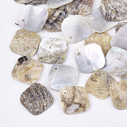 Natural Akoya Shell Charms, Mother of Pearl Shell Pendants, Rhombus, Tan, 14x14x1mm, Hole: 1.4mm,  Diagonal Length: 14mm, Side Length: 12mm(SHEL-T012-38)