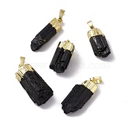 Natural Black Tourmaline Pendants, Nuggets Charms, with Brass Findings, Cadmium Free & Lead Free, Golden, 23~33x8.5~15x6~11.5mm, Hole: 5x8mm(G-G977-02G)