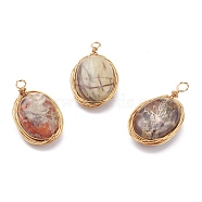 Natural Crazy Agate Pendants, with Golden Copper Wire Findings, Oval, 24.5~28x14.5~16x8mm, Hole: 2mm(PALLOY-JF00610)