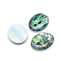 Paua Shell Oval Cabochons, Colorful, 24.5~25x19~19.5x3.5~4mm(X-SSHEL-E553-18B)