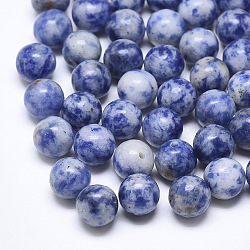 Natural Blue Spot Stone Beads, Half Drilled, Round, 10mm, Half Hole: 1.2mm(G-T122-25B-13)