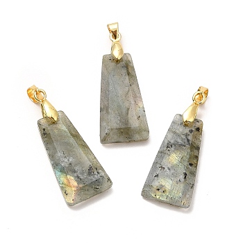 Natural Labradorite Pendants, Faceted Trapezoid Charms, with Rack Plating Golden Tone Brass Findings, Cadmium Free & Lead Free, 25~26x12.5~13x3.5~4mm, Hole: 5x4mm