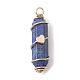 Natural  Lapis Lazuli Copper Wire Wrapped Pointed Pendants(PALLOY-JF02462-03)-1