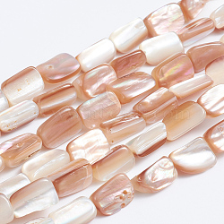Natural Sea Shell Beads Strands, Rectangle, 9~10x6~7x4~5mm, Hole: 0.5mm, about 40pcs/strand, 15.75 inch(41cm)(SSHEL-L016-14)
