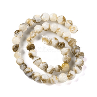 Natural Freshwater Shell Beads Strands(BSHE-S304-03)-2