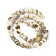 Natural Freshwater Shell Beads Strands(BSHE-S304-03)-2