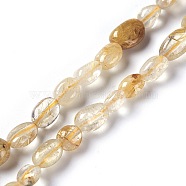 Natural Gold Rutilated Quartz Beads Strands, Tumbled Stone, Nuggets, 6~10x5~7mm, Hole: 1mm, about 54pcs/strand, 15.5 inch(39.5cm)(G-L493-15)