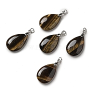 Natural Tiger Eye Pendants, Teardrop Charms, with Platinum Plated Brass Snap on Bails, Lead Free & Cadmium Free, 28~29x18~18.5x6~7mm, Hole: 3mm(G-H286-04P-03)