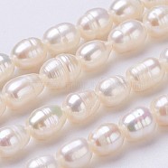 Natural Cultured Freshwater Pearl Beads Strands, Oval, Seashell Color, 6~7x5mm, Hole: 0.5mm, about 48pcs/strand, 13.2 inch(PEAR-P002-43)
