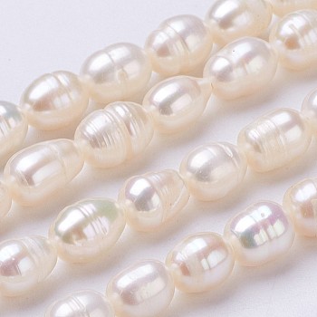 Natural Cultured Freshwater Pearl Beads Strands, Oval, Seashell Color, 6~7x5mm, Hole: 0.5mm, about 48pcs/strand, 13.2 inch