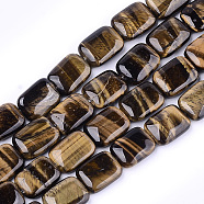 Natural Tiger Eye Beads Strands, Rectangle, 17.5~18.5x13~13.5x6~7mm, Hole: 1mm, about 22pcs/strand, 15.5 inch(G-T121-10)
