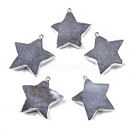 Natural Grey Agate Pendants, with Platinum Brass Edge and Iron Loop, Frosted, Star, 47x45x13.5mm, Hole: 2mm(G-T131-42)