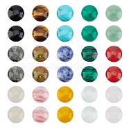 30Pcs 15 Style Natural & Synthetic Mixed Gemstone Cabochons, Half Round/Dome, Mixed Dyed and Undyed, 14x5mm, 2pcs/style(G-FH0002-30)