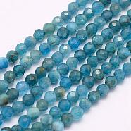 Natural Apatite Beads Strands, Grade AA, Faceted, Round, 3mm, Hole: 0.5mm, about 132pcs/strand, 15.7 inch(40cm)(G-F509-17-3mm)