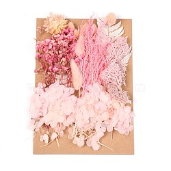 Dried Flower, for Bridal Shower, Wedding, Preserved Fresh Flower, Pink, 210x148x14~24.5mm(DIY-B018-12)