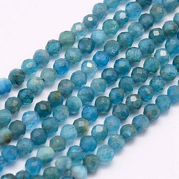 Natural Apatite Beads Strands, Faceted, Round, 3mm, Hole: 0.5mm, about 132pcs/strand, 15.7 inch(40cm)