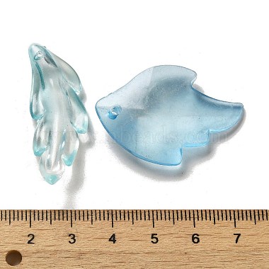 Transparent Frosted Acrylic Beads(OACR-H039-06)-3