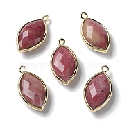 Natural Rhodonite Pendants, with Platinum Brass Edge, Faceted, Horse Eye, 22x12x5.5mm, Hole: 1.8mm(G-B009-01G-X)