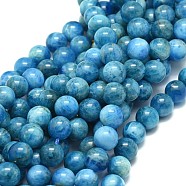 Natural Apatite Beads Strands, Round, 8mm, Hole: 0.8mm, about 48pcs/strand, 15.35 inch(39cm)(G-F674-04-8mm)