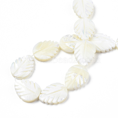 Natural Trochid Shell/Trochus Shell Beads Strands(SSHEL-N034-136A-01)-4