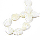 Natural Trochid Shell/Trochus Shell Beads Strands(SSHEL-N034-136A-01)-4