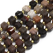 Natural Fossil Beads Strands, Faceted, Cube, 6.5~7.5x6.5~7.5x6.5~7.5mm, Hole: 1.2mm, about 43~44pcs/strand, 15.35''~15.55''(39~39.5cm)(G-I376-D24-01)