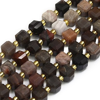 Natural Fossil Beads Strands, Faceted, Cube, 6.5~7.5x6.5~7.5x6.5~7.5mm, Hole: 1.2mm, about 43~44pcs/strand, 15.35''~15.55''(39~39.5cm)