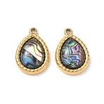 Natural Paua Shell Pendants, Teardrop Charm, with 304 Stainless Steel Findings, Ion Plating(IP), Long-Lasting Plated, 19x13.5x5mm, Hole: 1.6mm(SA-CBA11D7-15B-G)