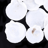 Shell Beads, Undrilled/No Hole Beads, Scallop, White, 45~74x42~70x2~3mm(SSHEL-T005-07B)
