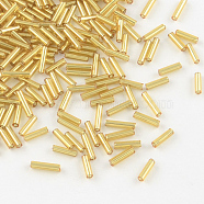 Glass Bugle Beads, Goldenrod, Silver-Lined, Goldenrod, 6~8x1.8mm, Hole: 0.6mm, about 10000pcs/bag(TSDB002)