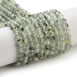 Natural Prehnite Beads Strands, Faceted, Round, 4mm, Hole: 0.9mm, about 97pcs/strand, 14.29''(36.3cm)(G-G140-A19-03)