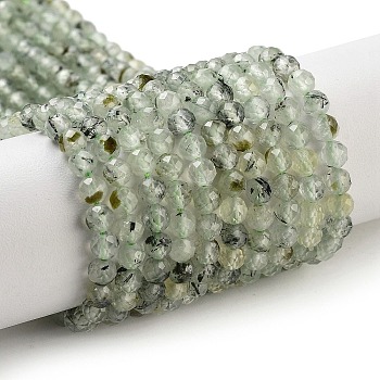 Natural Prehnite Beads Strands, Faceted, Round, 4mm, Hole: 0.9mm, about 97pcs/strand, 14.29''(36.3cm)