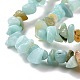 Natural Amazonite Chips Beads Strands(G-M205-12A)-4
