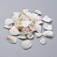 Natural Shell Beads, Shell Shards, Nuggets, White, 11.5~22.5x12.5~22.5x1.5~9.5mm, Hole: 1~1.2mm(SHEL-K005-04)