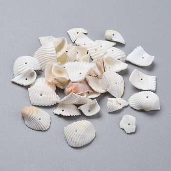 Natural Shell Beads, Shell Shards, Nuggets, White, 11.5~22.5x12.5~22.5x1.5~9.5mm, Hole: 1~1.2mm