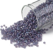 TOHO Round Seed Beads, Japanese Seed Beads, (166DF) Transparent AB Frost Light Tanzanite, 11/0, 2.2mm, Hole: 0.8mm, about 5555pcs/50g(SEED-XTR11-0166DF)