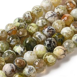 Dyed & Heated Natural Fire Crackle Agate Beads Strands, Faceted, Round, Dark Khaki, 8mm, Hole: 1.2mm, about 47pcs/strand, 14.25''(36.2cm)(G-P539-C01-03)