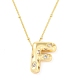 Brass Micro Pave Clear Cubic Zirconia Pendant Necklaces(NJEW-Z038-01G-F)-2